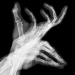 Jeux de mains, série ombres chinoises, Cerf