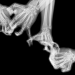 Jeux de mains, série danse de mains, EY 01