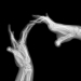 jeux de mains, série danse de mains, Y03