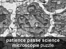 patience passe science (microscopie en puzzle)