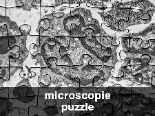 in vitro veritas (microscopie en puzzle)